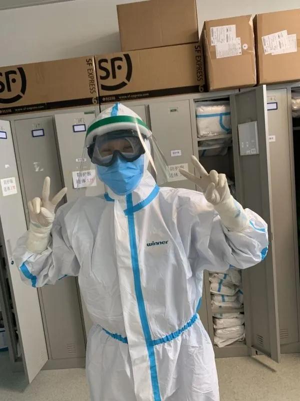 美丽迎春花开了,迎春花盛开的绝美春日盛景