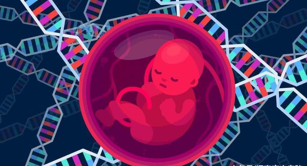 90后女子突发黄体破裂,90后女子意外怀三胞胎