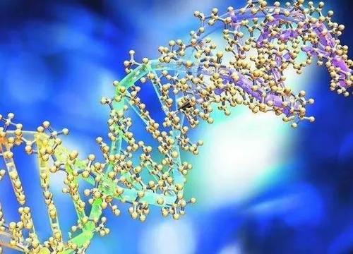 达尔文进化论人类是怎么演变来的,达尔文的进化论有没有科学依据