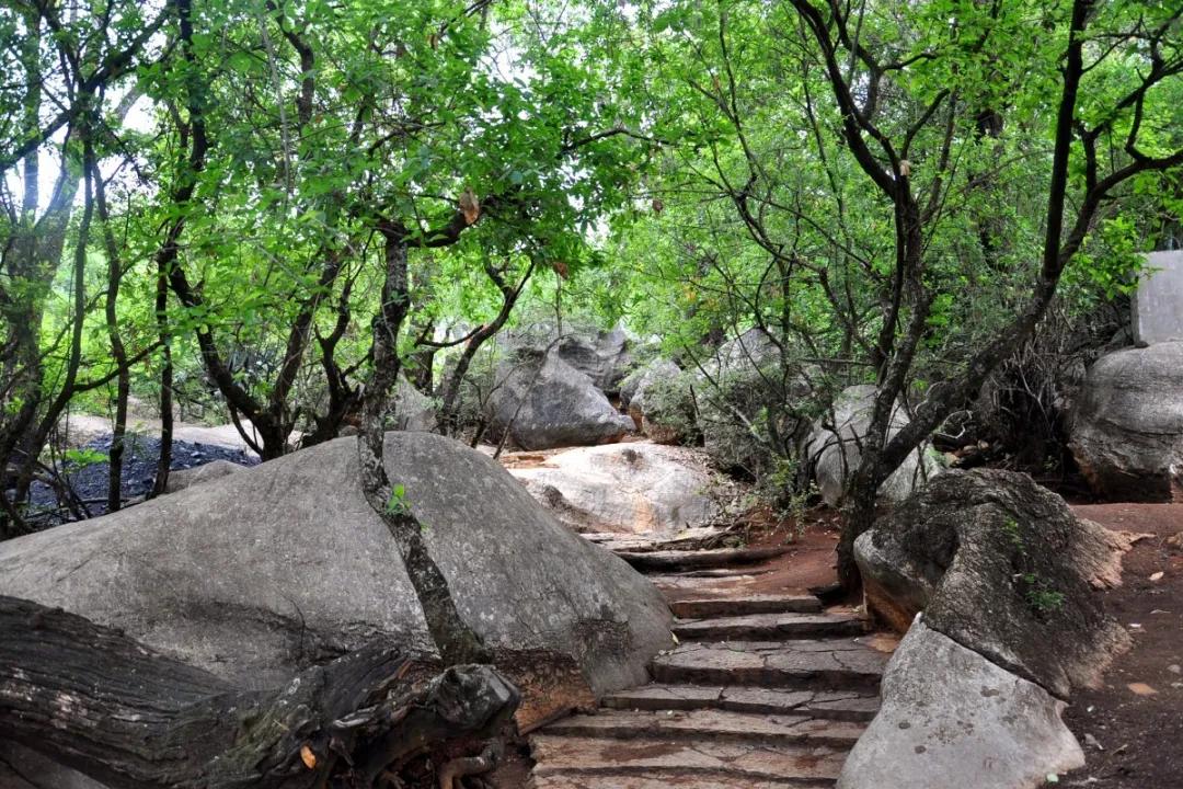 走进深山看美景,走进深山看大山里的风景