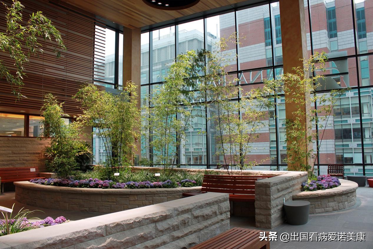 美国晚期结肠癌,美国治疗结肠癌的最新方法