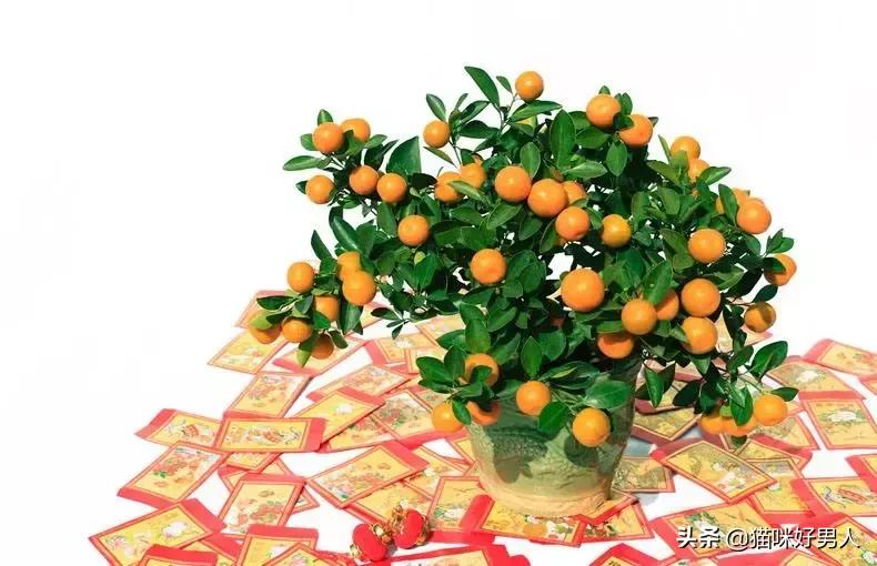 2月25日广东新鲜事:警惕!讨厌的回南天又来了!广东气温回20℃