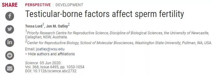 科研新突破拯救精子质量,精子最前沿研究