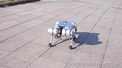 高端智能机器狗,wavego仿生机器狗