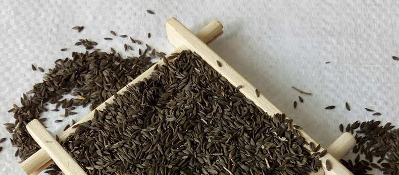 催乳食疗过程中应注意以下三点,比下奶偏方还灵的催乳良方