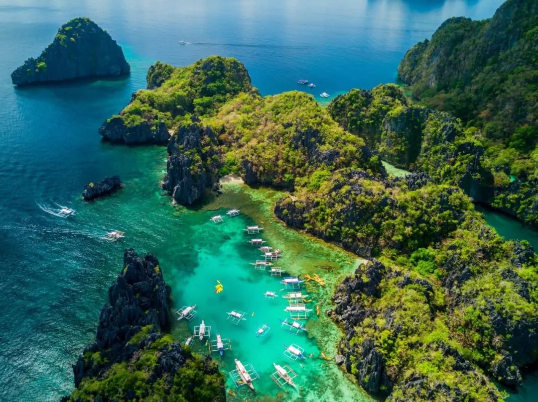 如何才能抢到亚航大促或促销机,亚航大促机票怎么买