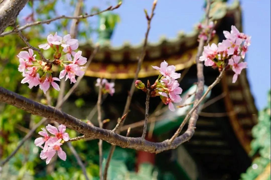 广州的年轻人，累了就去番禺歇歇吧