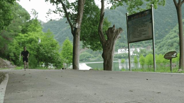 后掌软弹跑鞋,迪卡侬适合扁平足的跑鞋