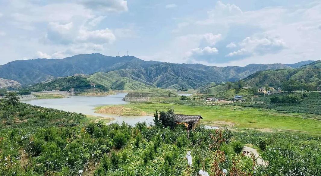 突尼斯软籽石榴可以喝的石榴,突尼斯软籽石榴和雅诗兰黛