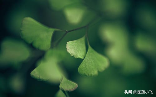 螺内酯用法,医药螺内酯的功效与作用