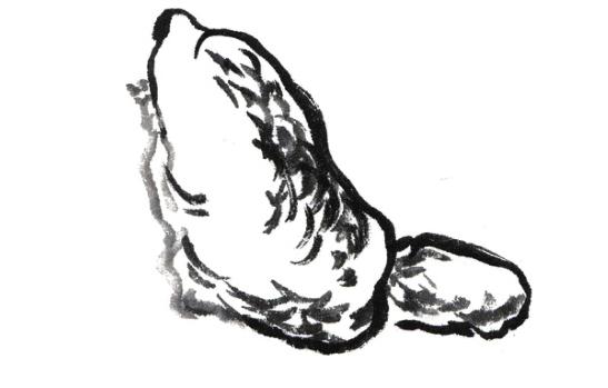 山石的常用皴法,山石的各种皴法介绍