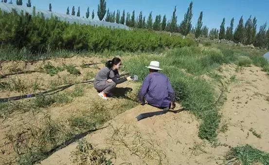 记者是一种可怕的职业,记者是一个平凡而伟大的职业