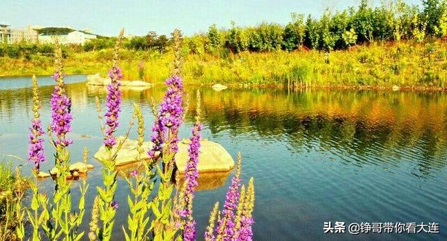 遇见大连版,遇见大连