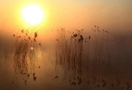 梦中仙境雾气,雾气淡怎么拍出来