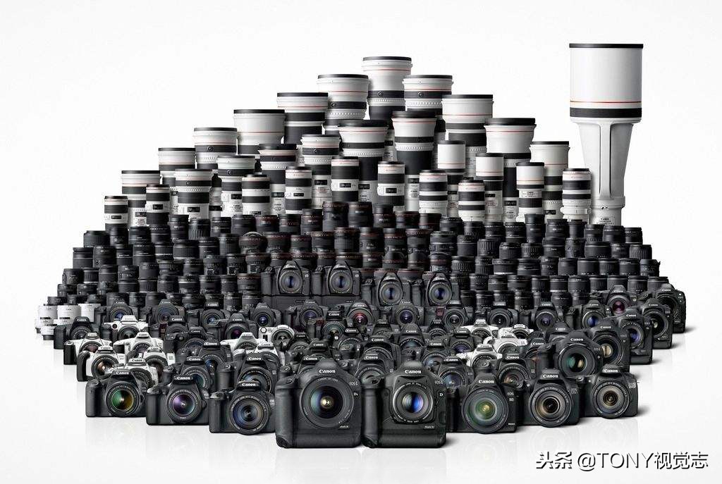 佳能尼康全幅单反相机推荐,佳能和尼康入门级单反推荐