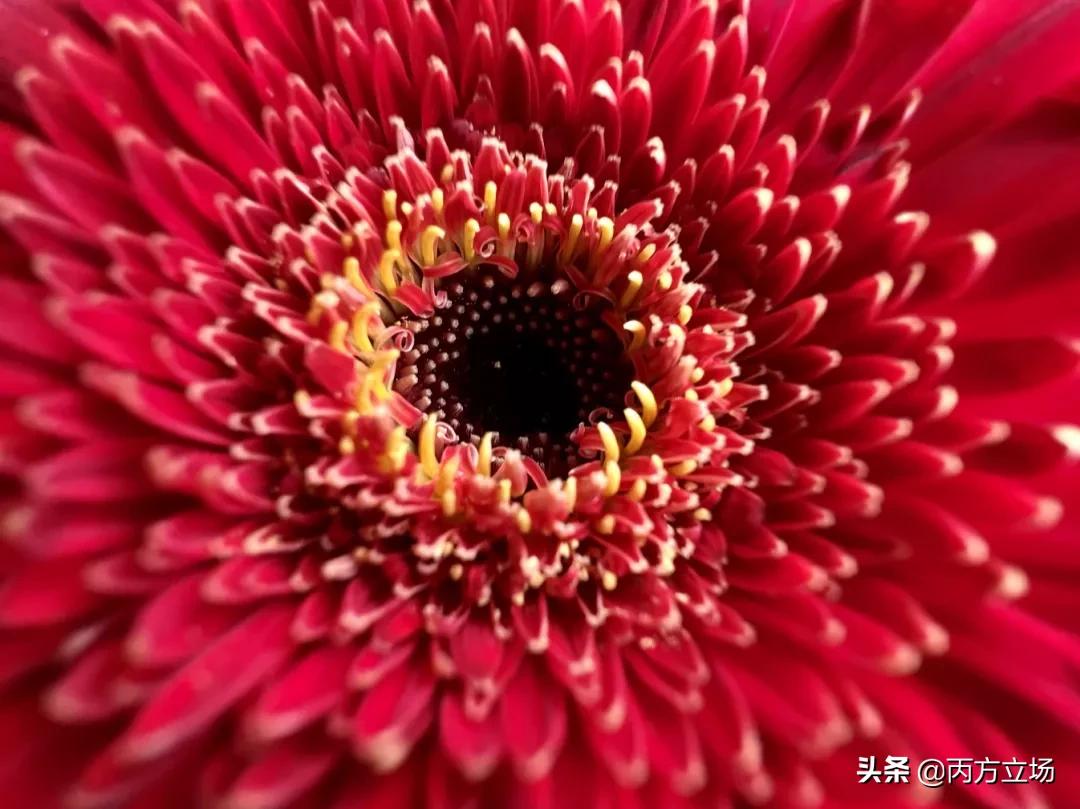 苹果13promax香港今日价格,iphone13港版全新今日价格