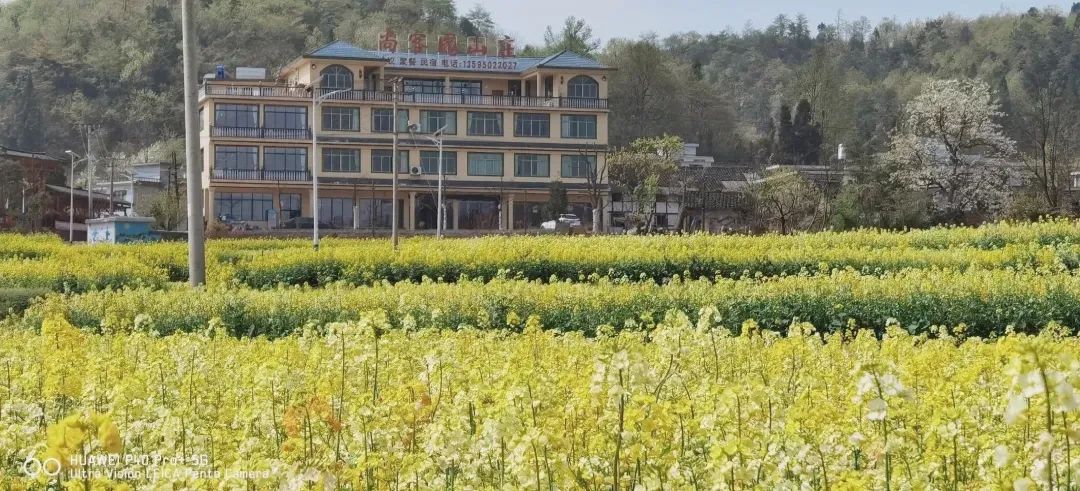 赏春图鉴丨赏花海、品清茶、尝美食...乌当百宜镇这条宝藏春游线路，就等你来打卡啦！