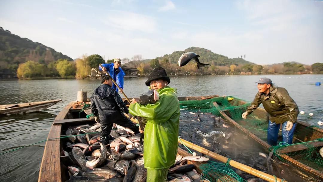 大过中国年高清原图,大过中国年