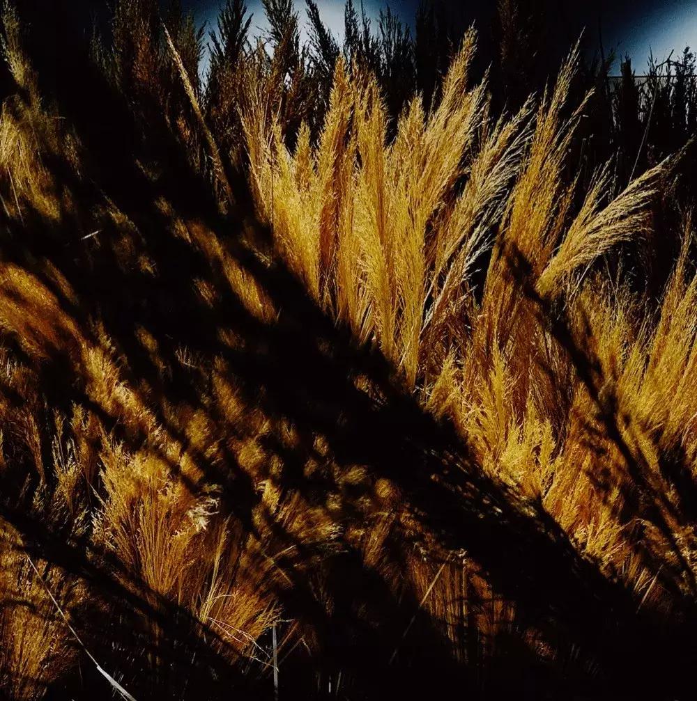 摄影师美食主播,摄影师美食博主