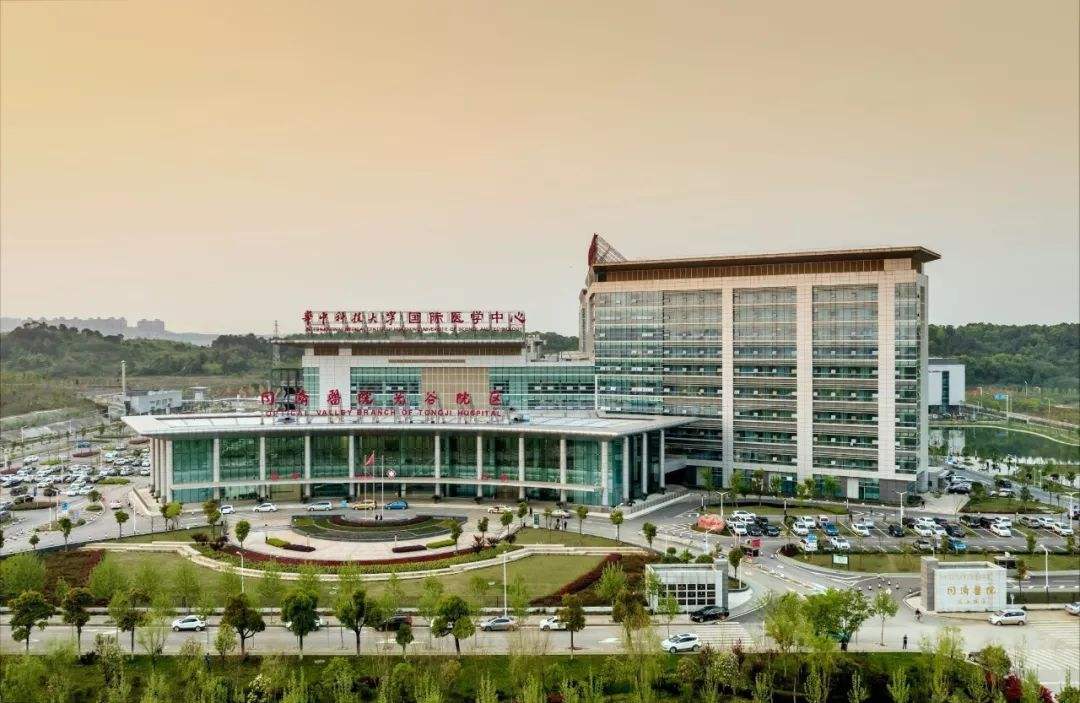 武汉三甲医院全部名单,湖北武汉的三甲医院有几所