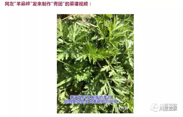 四川男人比较持家,四川男人有什么值得称道