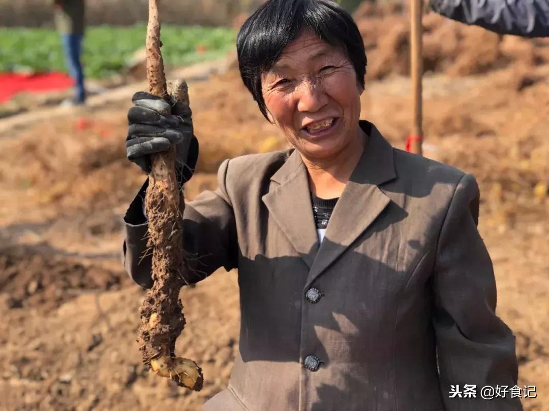 铁棍山药与普通山药哪种好吃,铁棍山药和小白嘴山药味道的区别