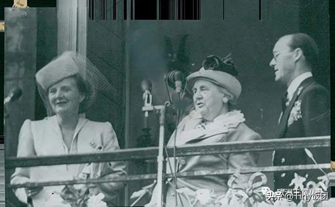 科普向-荷兰：活力有爱橙子国