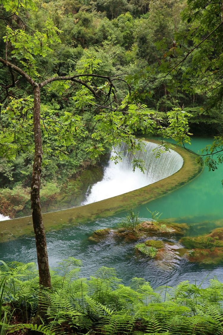 地球上的绿腰带贵州荔波小七孔,世界的绿宝石荔波