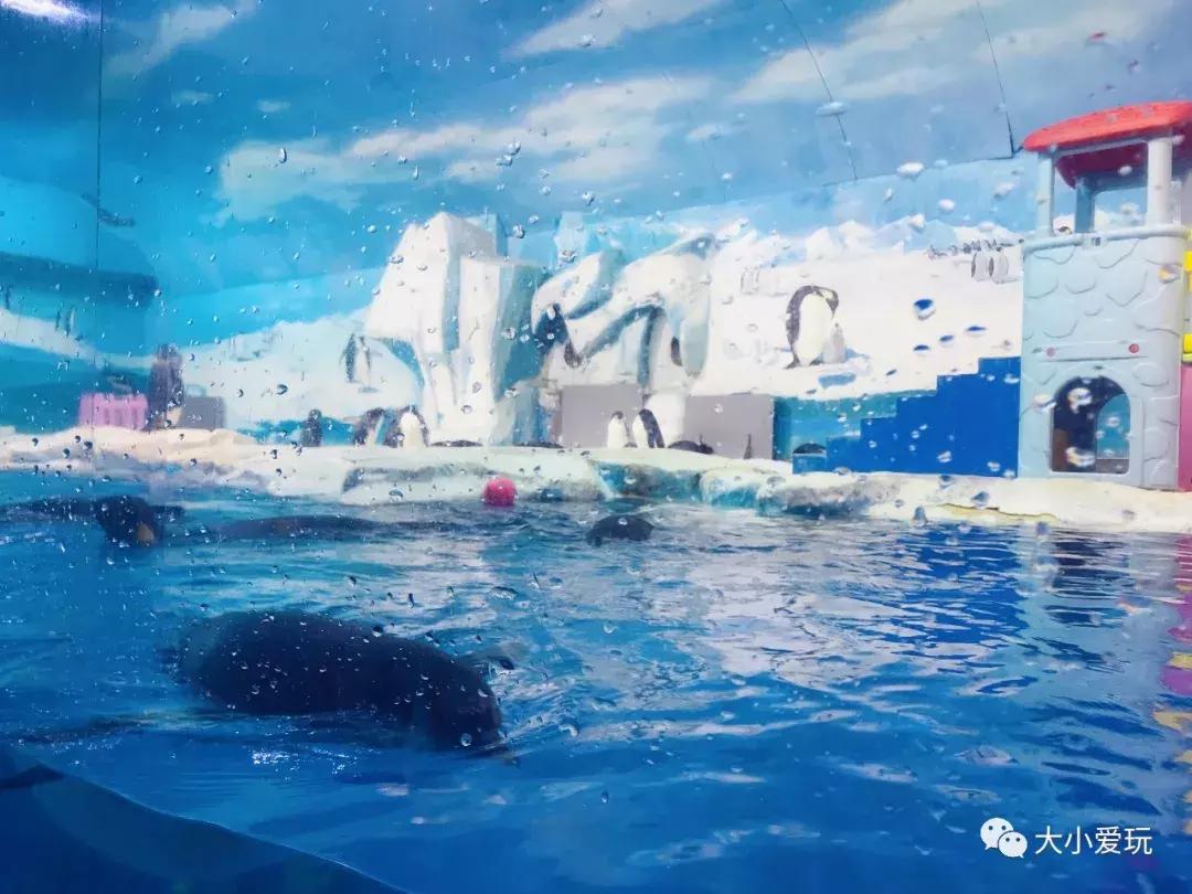 开放首日实探国家海洋博物馆，史上最抢手博物馆究竟长什么样