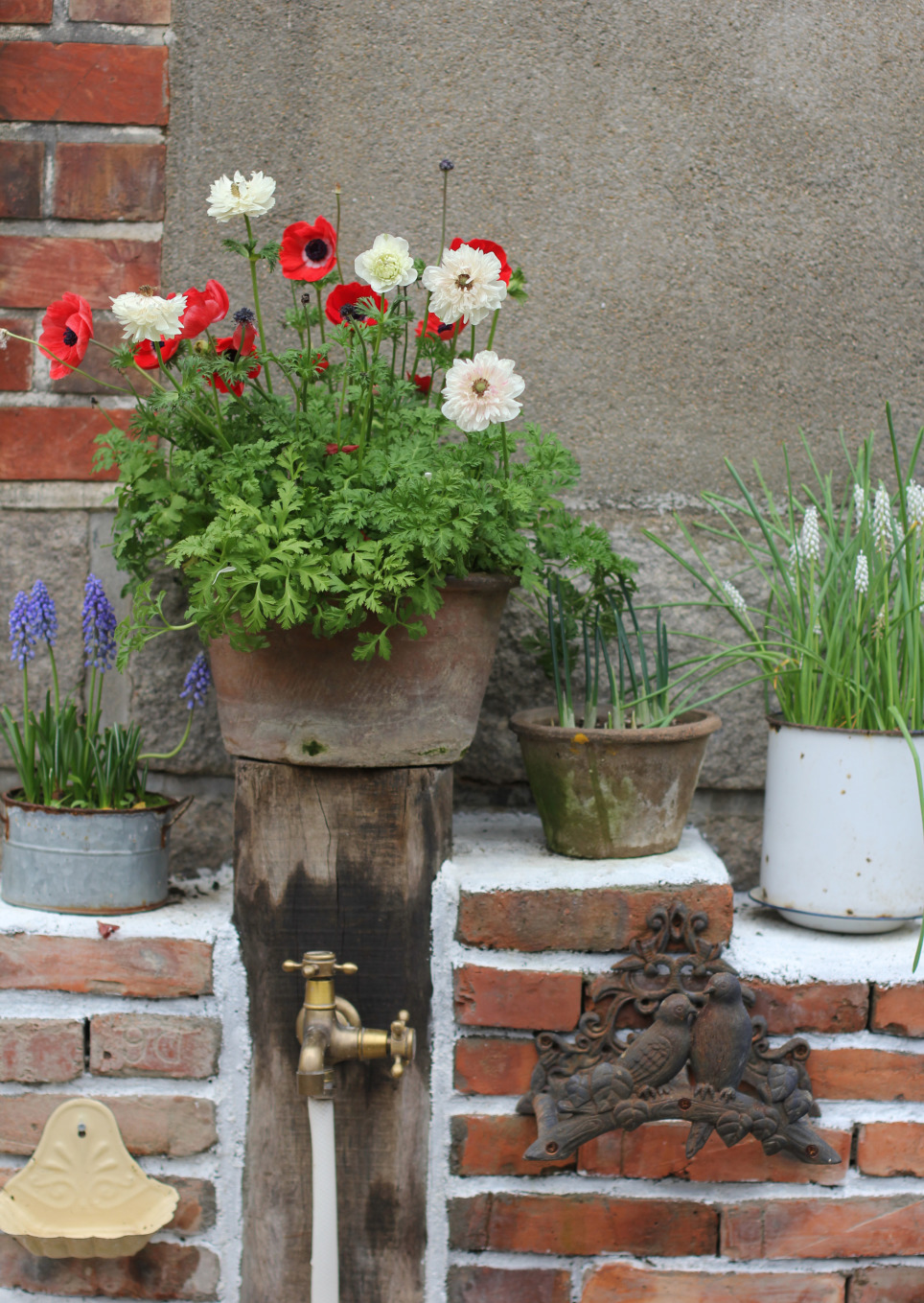 一个重度搪瓷爱好者的杂货花园