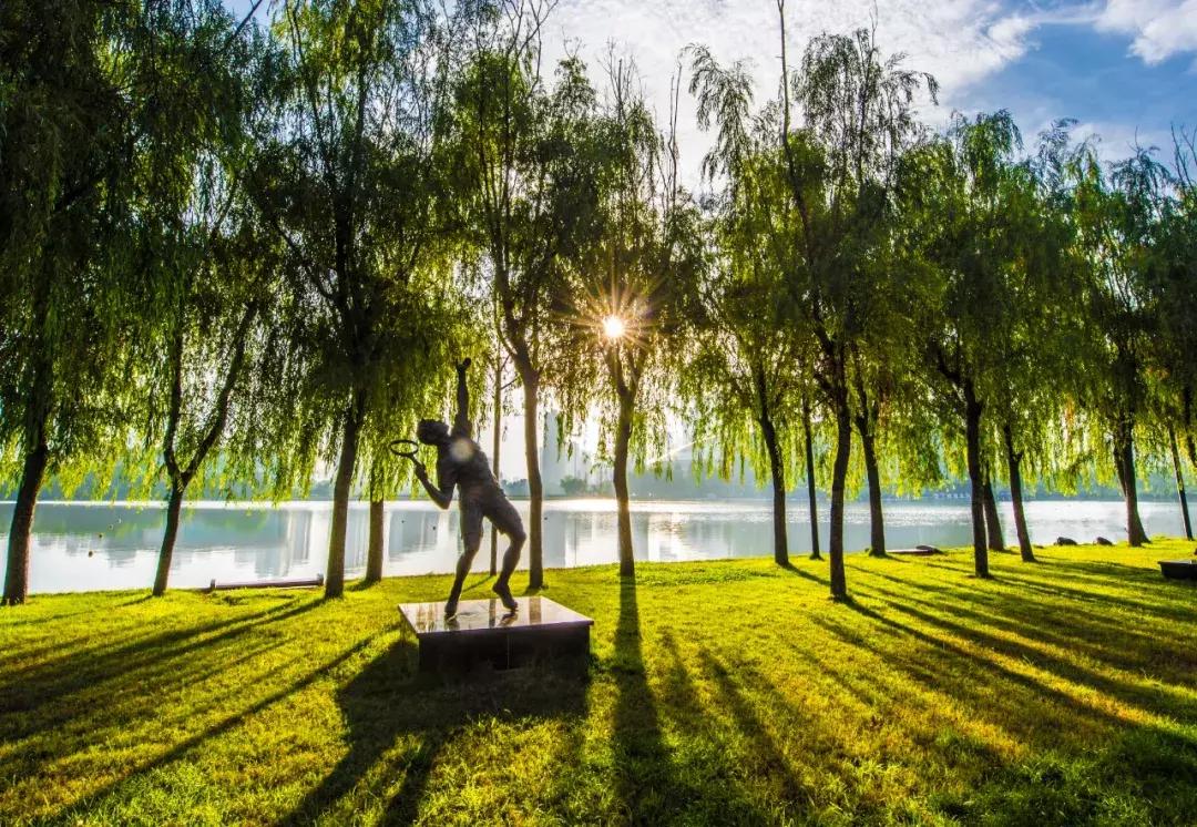 洛阳适合休息的公园,洛阳免费公园景点大全