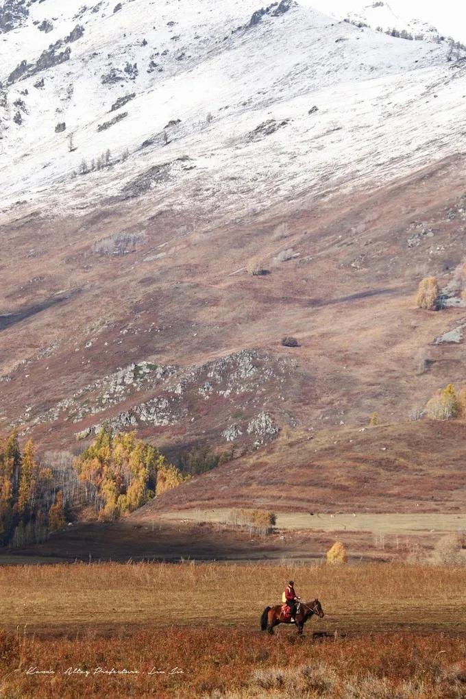 北疆四季,北疆的四季美景