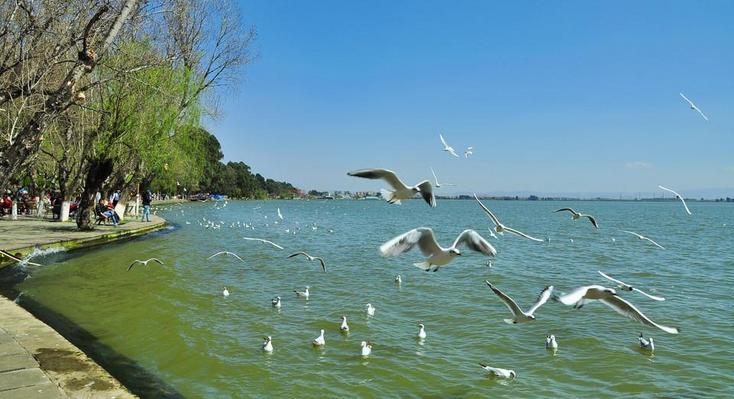 云南建议租车自驾游吗,云南租车游最佳攻略