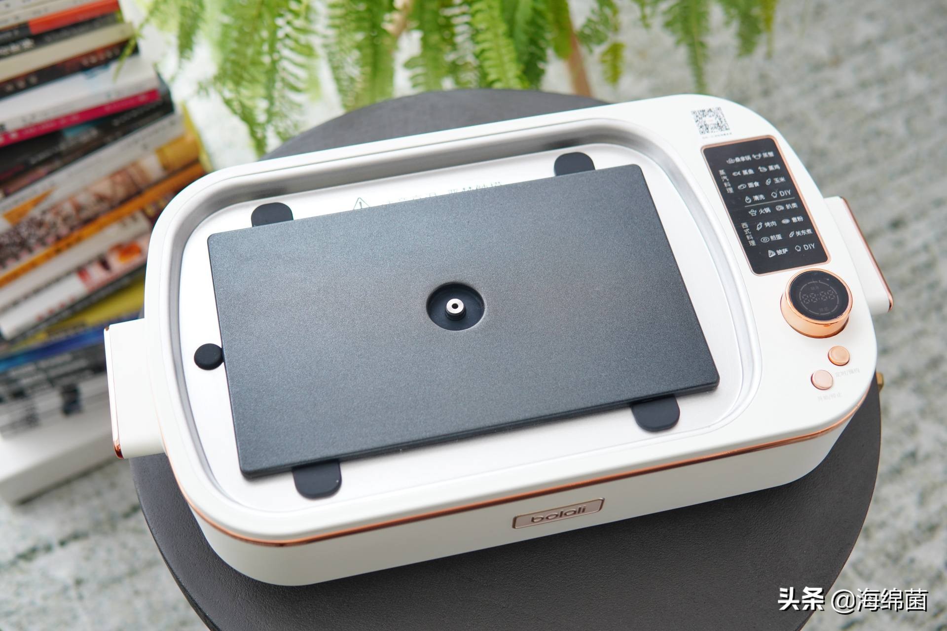 bolali博拉利多功能蒸汽料理锅,蒸汽桑拿锅测评