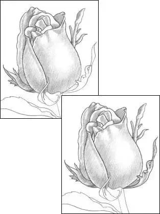 一幅素描玫瑰画如何加彩,玫瑰花束素描图片