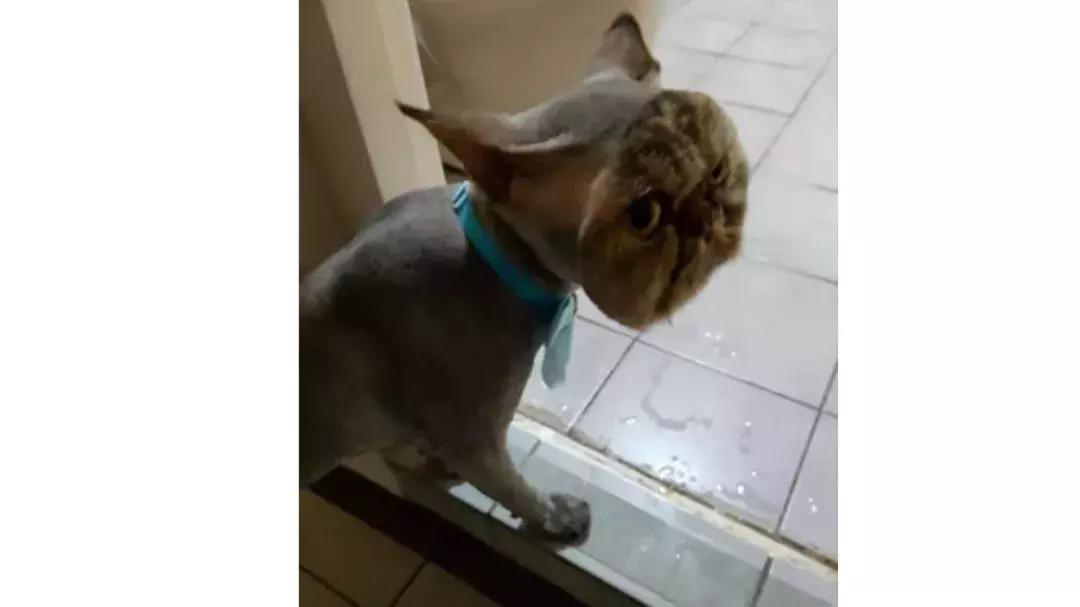 用简单的方法让脸变得更美,简单4个动作随时随地做让脸紧致