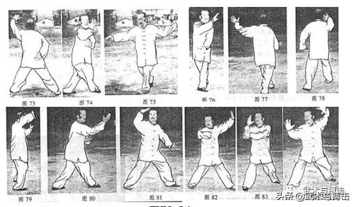 纯阳拳龙心掌视频,纯阳八步龙心掌