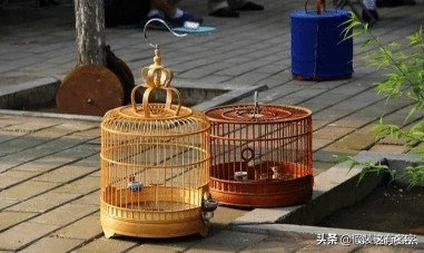 有哪些高档次的群名沙雕,那些超酷的沙雕群名字