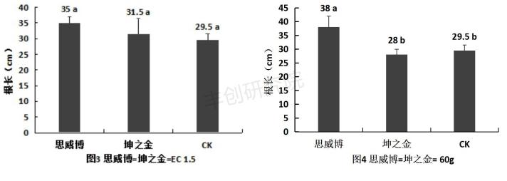 玉米秧苗发红缺什么肥,粘玉米死苗黄叶怎么回事