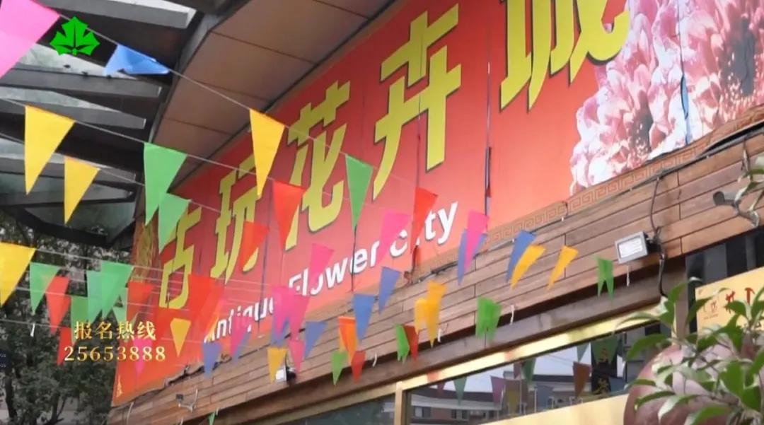 虹桥古玩城鉴宝,百姓鉴宝汇虹桥古玩城