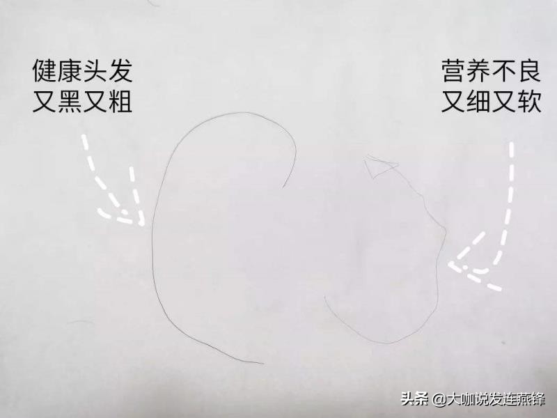 头发稀少发质软塌怎么打理,男生发量少细软免打理的发型