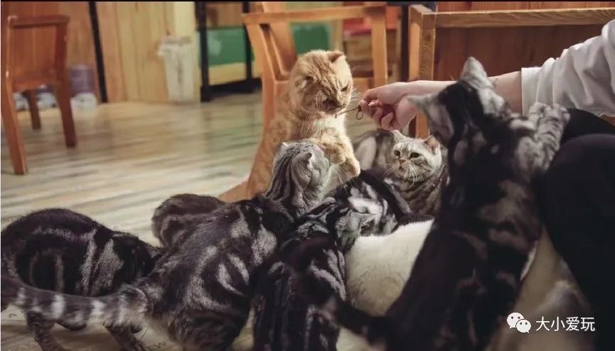 北京主题星空餐厅哪里的好,北京太空舱主题餐厅