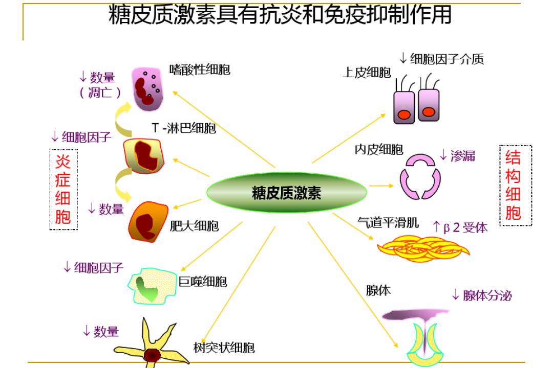 脸部皮炎使用激素药膏可以吗,医用护肤品修复激素依赖性皮炎