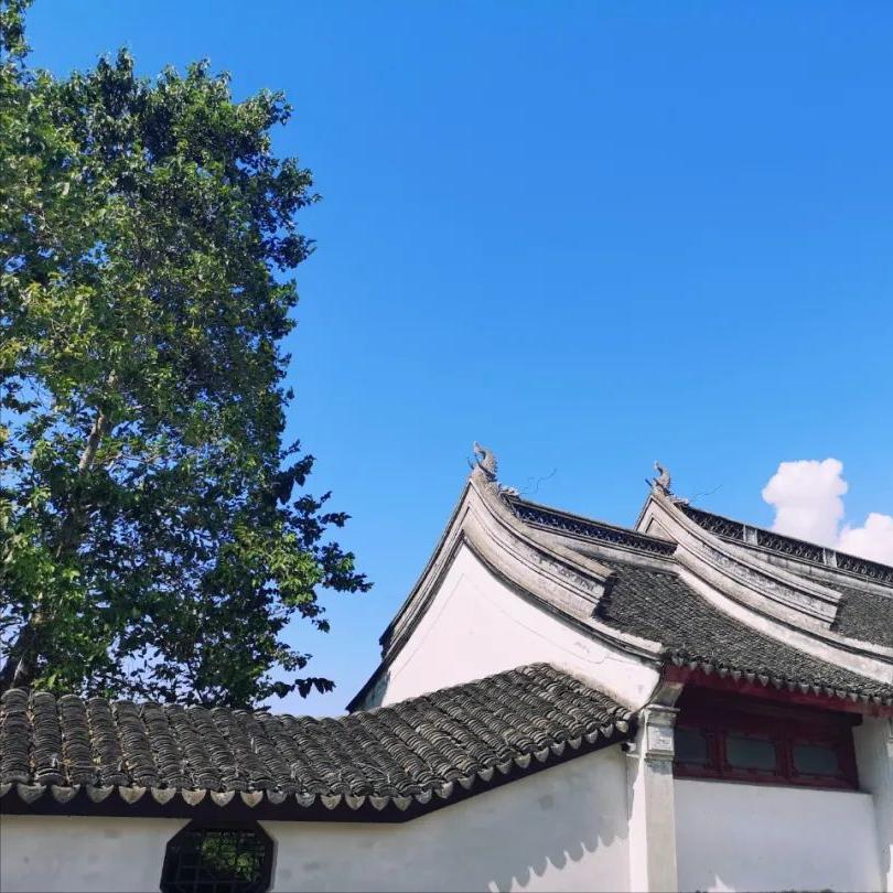 你以为的脚气还不是脚气