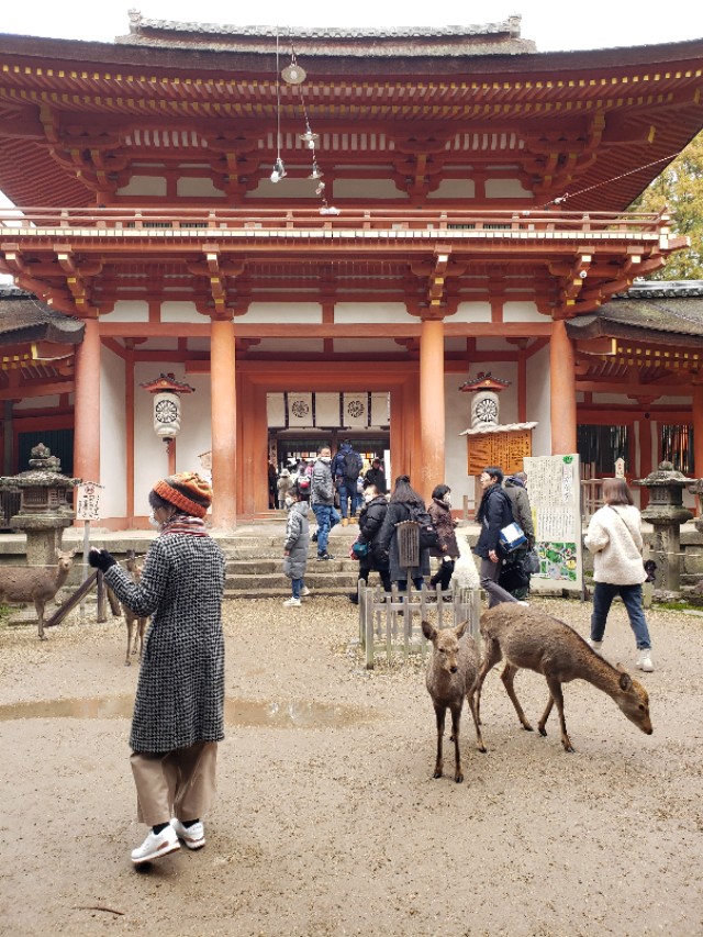 如果你今生只想去一次日本，千万别跟我一样，报这样的旅行团五