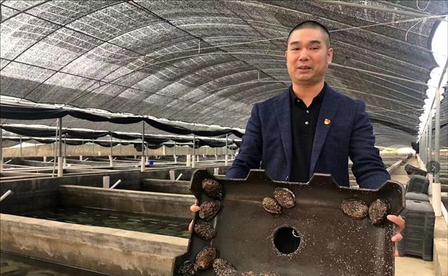 鲍鱼养殖致富经,养殖一亩鲍鱼利润