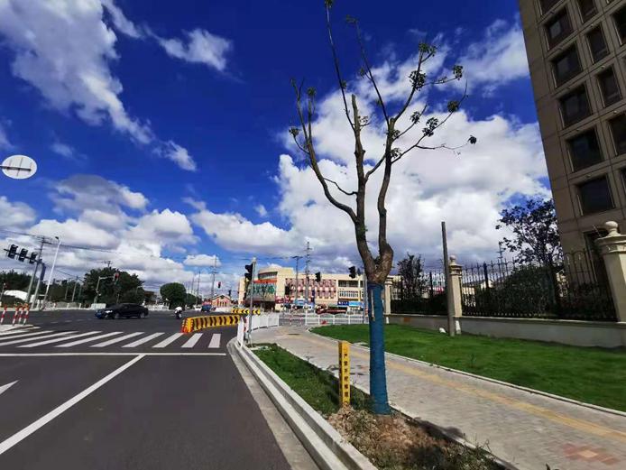 本应是宝藏的板块,怎么就当上了“陪跑选手”?