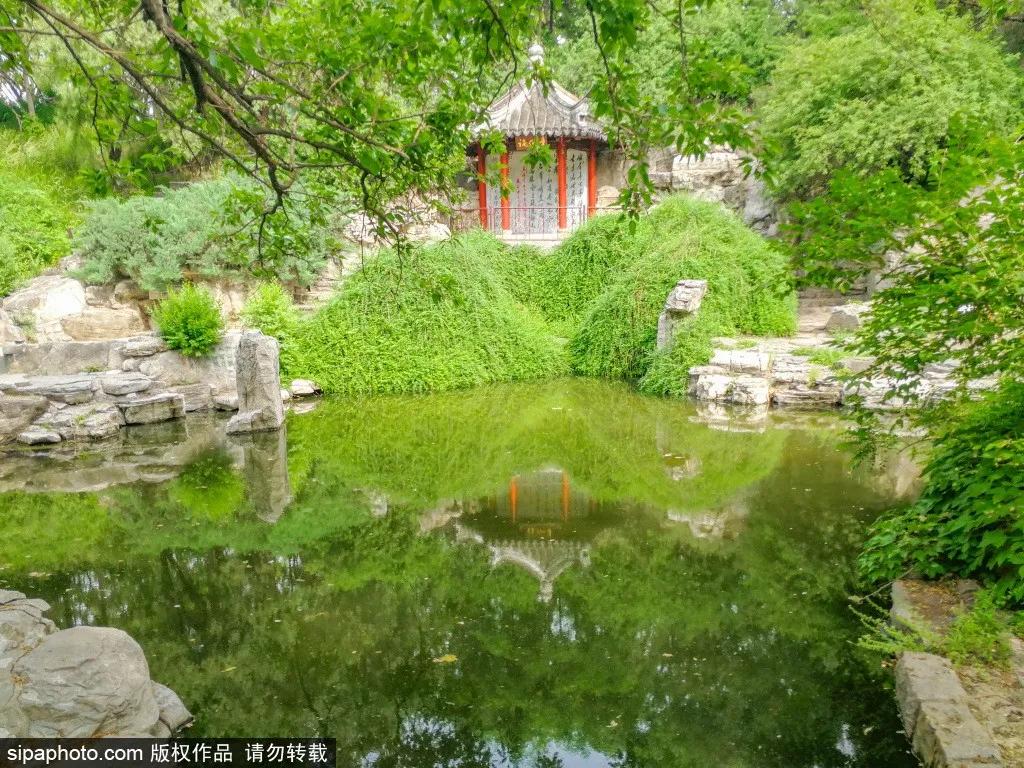 北京一处被忽视的公园景点,北京闹市藏着这样一个公园