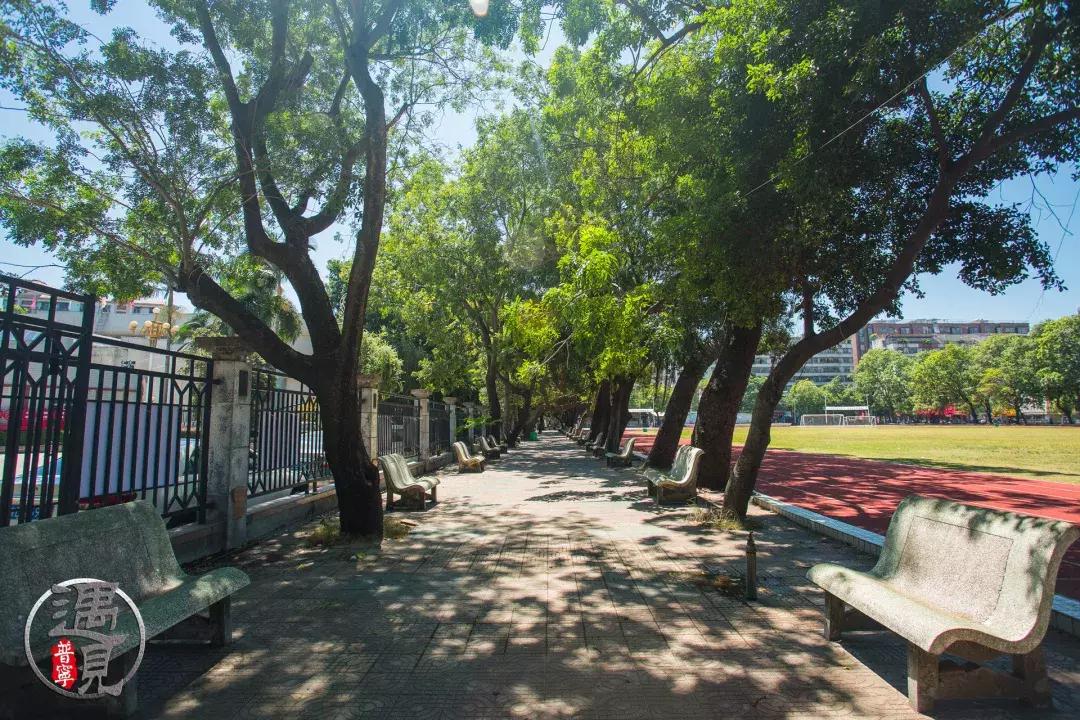 普宁二中操场改造,普宁流沙中华新城旧貌