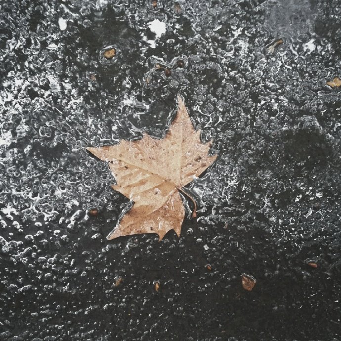 很不错的一句话,很不错的句子收藏起来吧